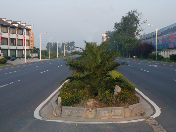 2009927212556332